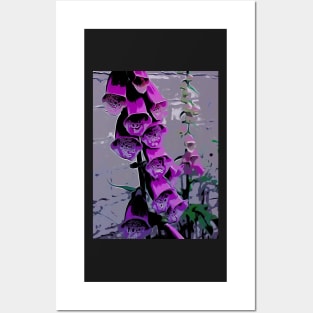 Purple Foxgloves Posters and Art